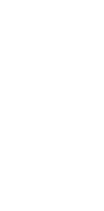 大豆